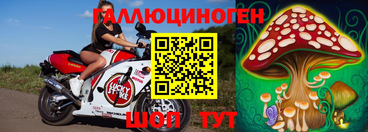 Феодосия  где можно купить   Вход с VPN  Псилоцибиновые грибы Cubensis 
