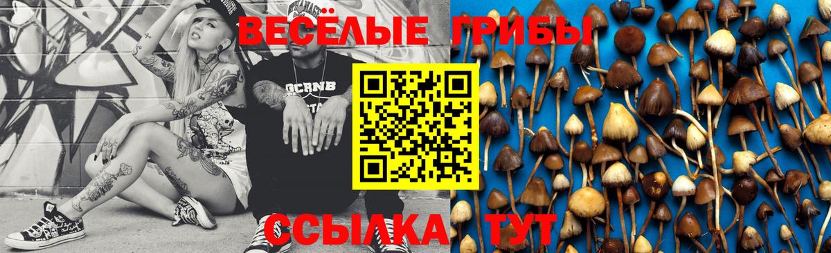 Галлюциногенные грибы мицелий Феодосия