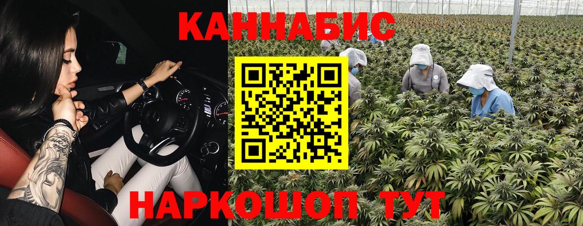 Шишки марихуана SATIVA & INDICA Феодосия